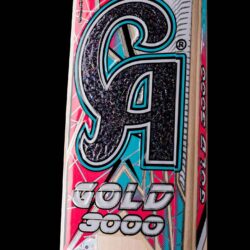 Alternative view of CA Gold 3000