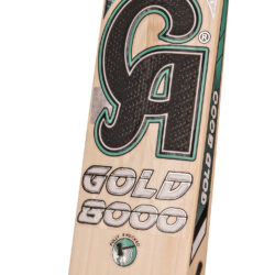 Alternative view of CA Gold 8000