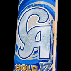 Alternative view of CA Gold 17000