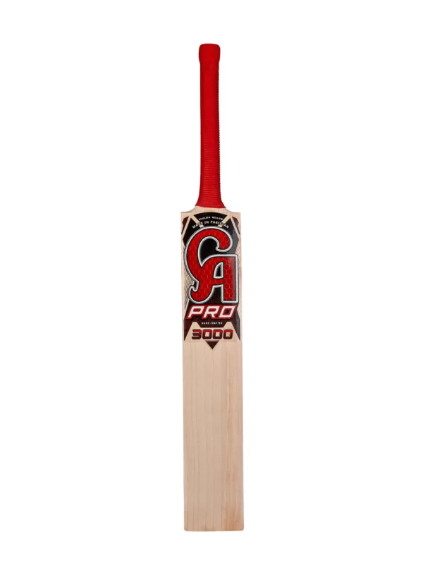 CA Pro 3000