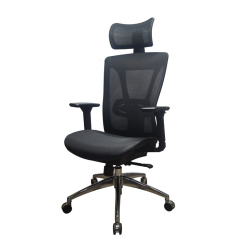 Executive Mesh chair png
