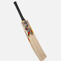 WhatsApp Image at AM ()