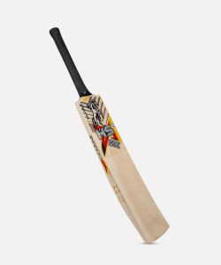 WhatsApp Image at AM ()