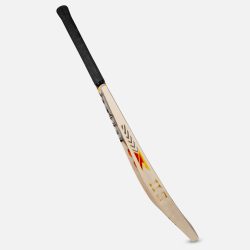 WhatsApp Image at AM